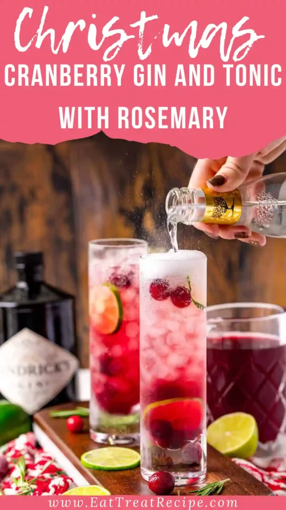 Minimalist Christmas cranberry gin and tonic with rosemary