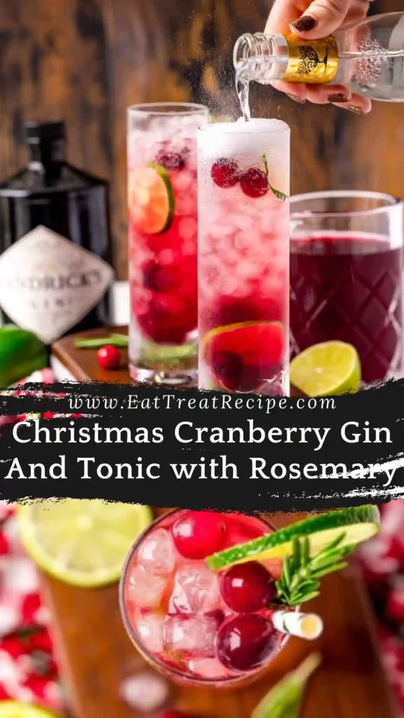 Minimalist Christmas cranberry gin and tonic with rosemary