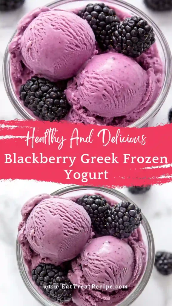 blackberry Greek frozen yogurt with fresh blackberries